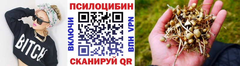 Псилоцибиновые грибы прущие грибы  Купить  Нязепетровск 